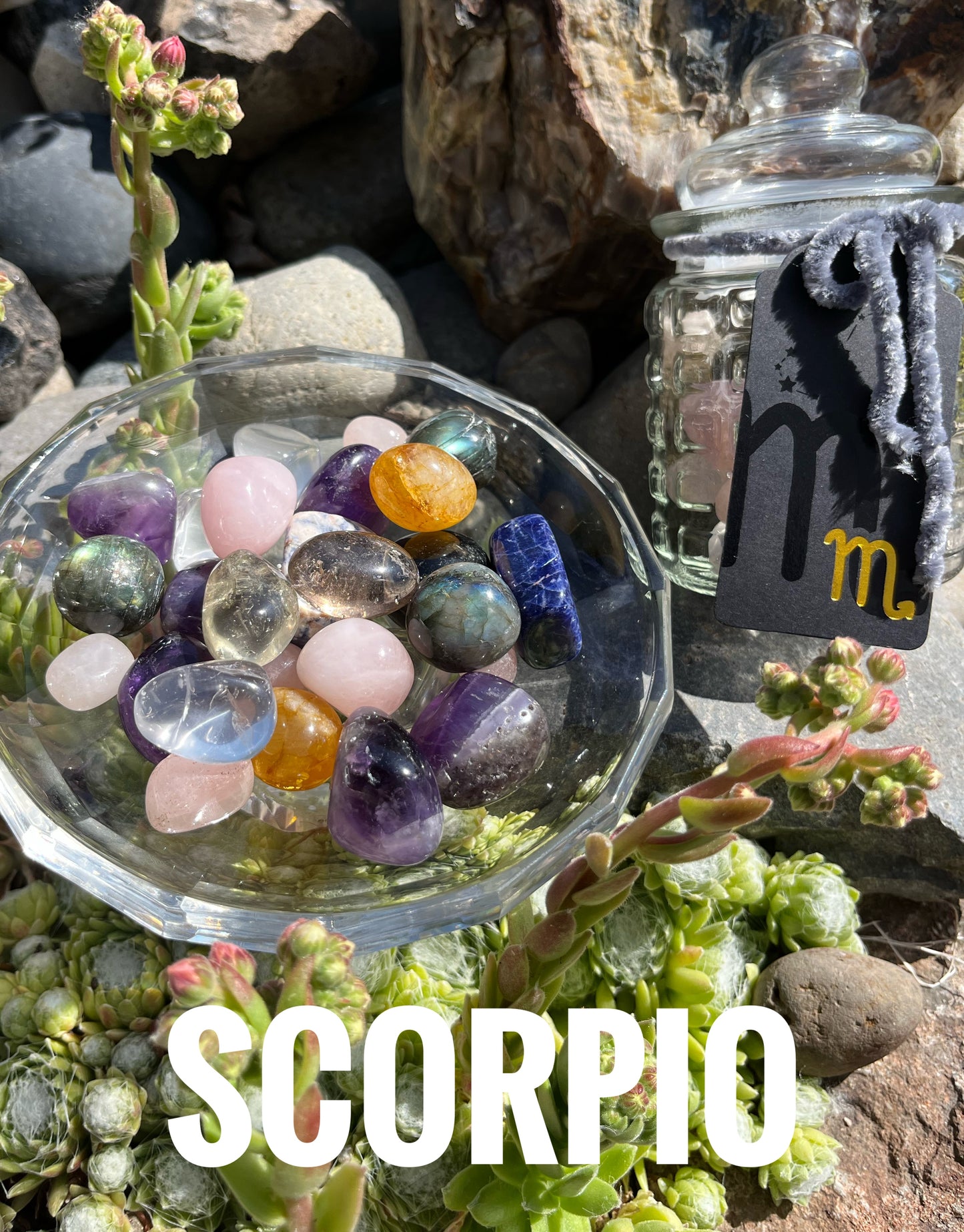 Scorpio