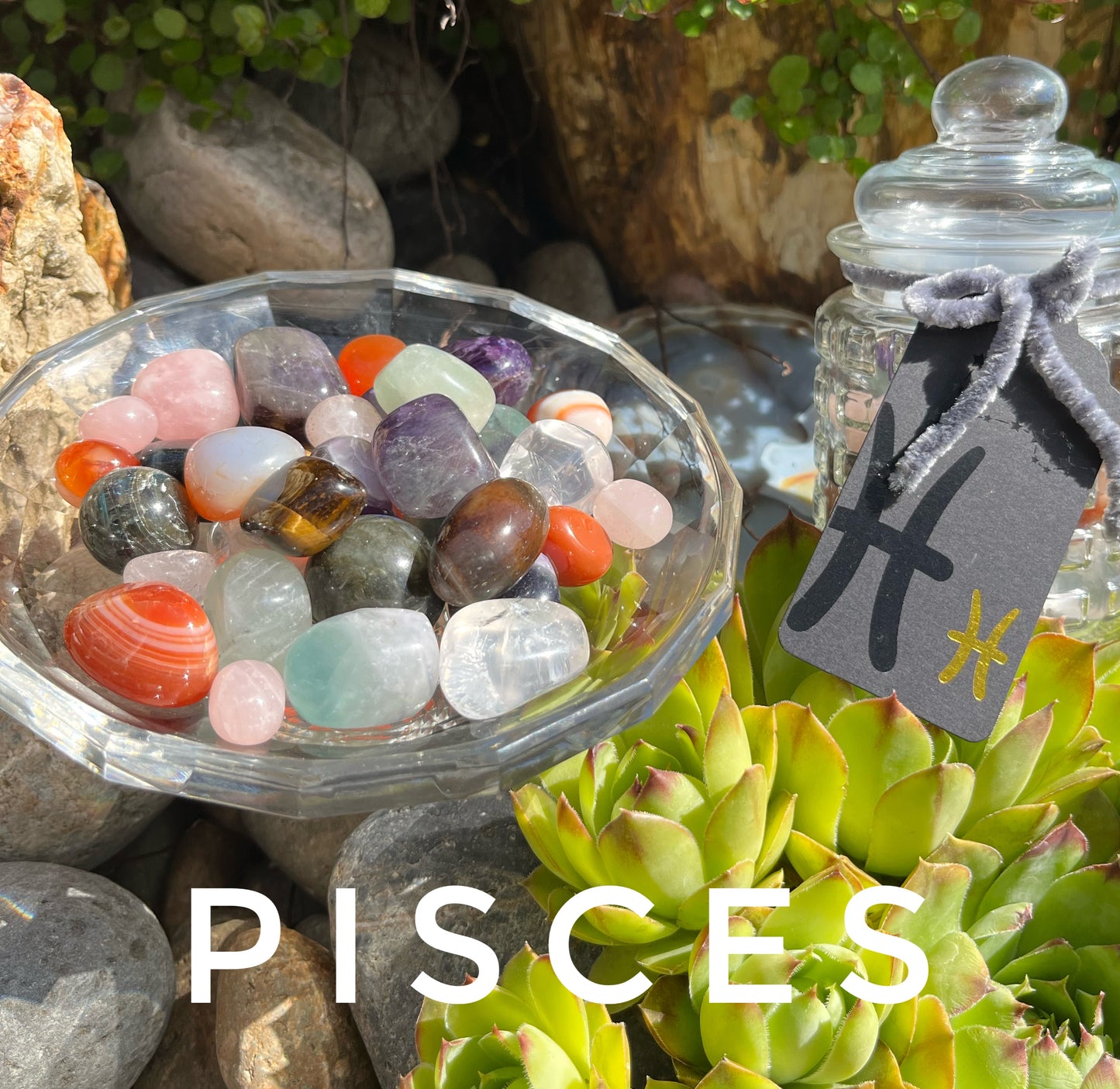 Pisces