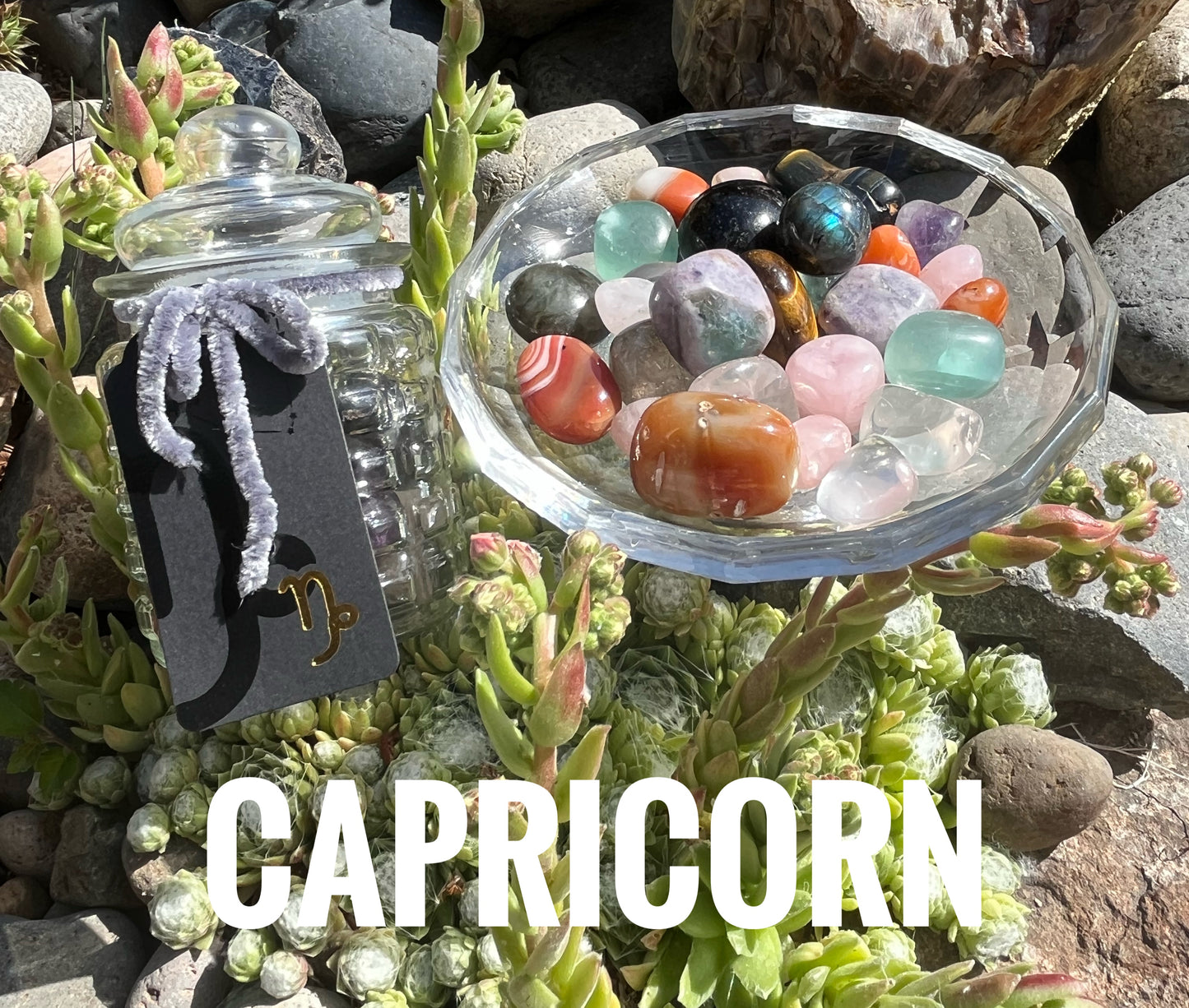 Capricorn