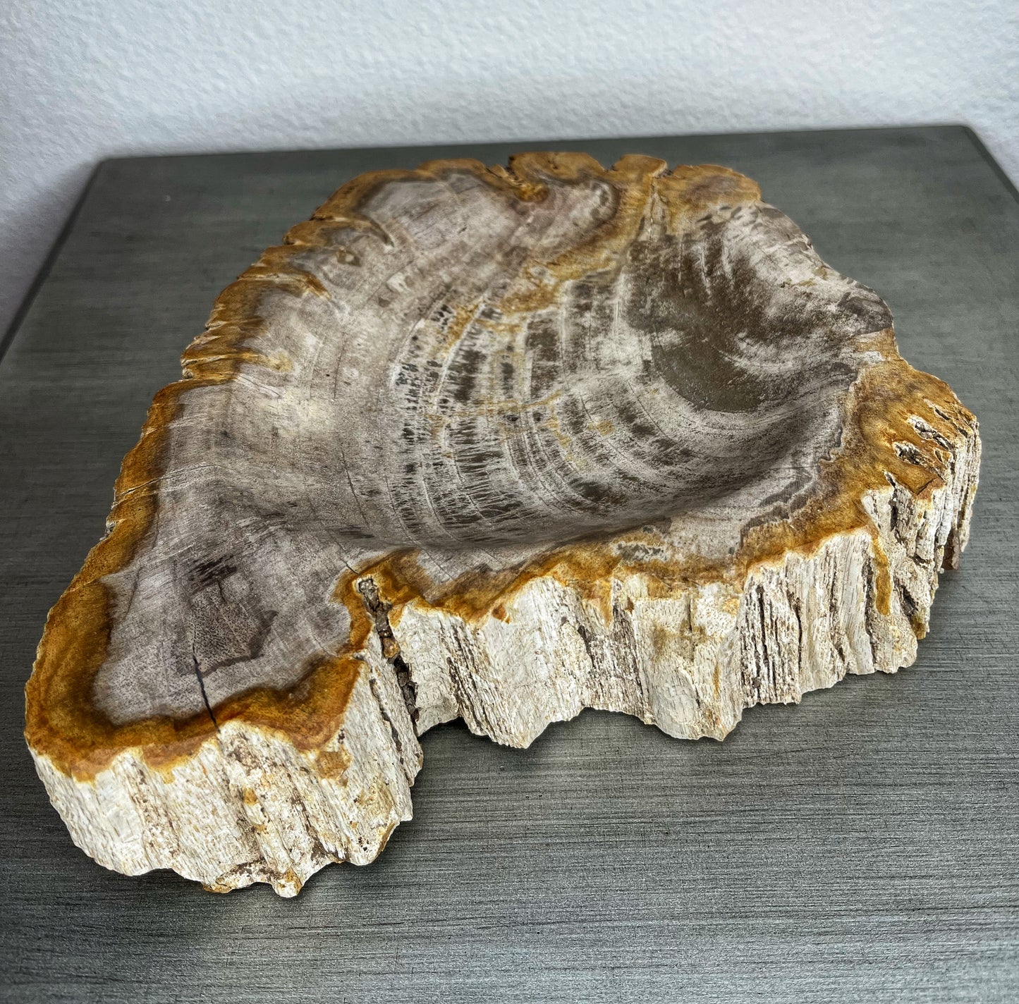 Petrified Wood Bowl with Bark