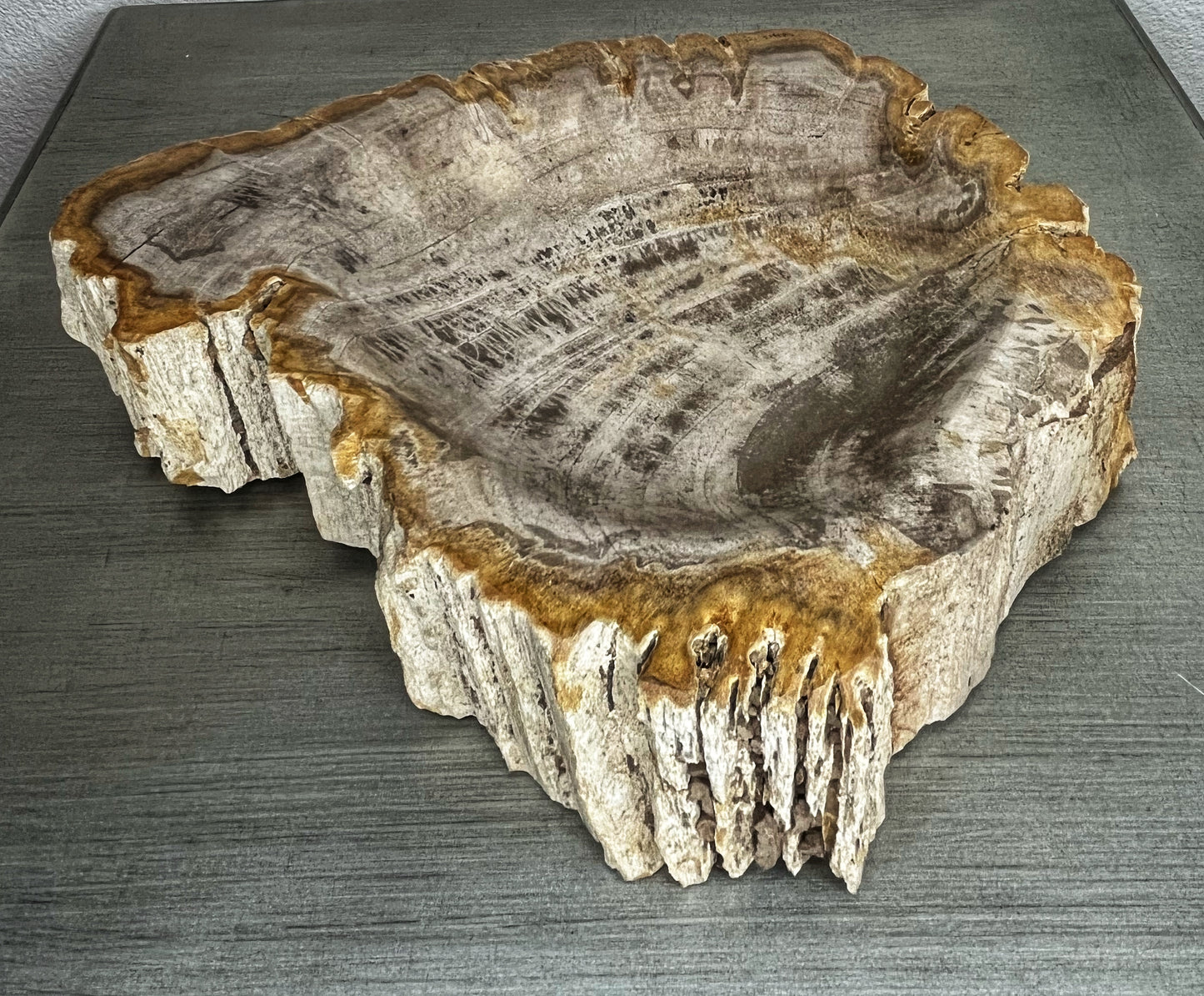 Petrified Wood Bowl with Bark