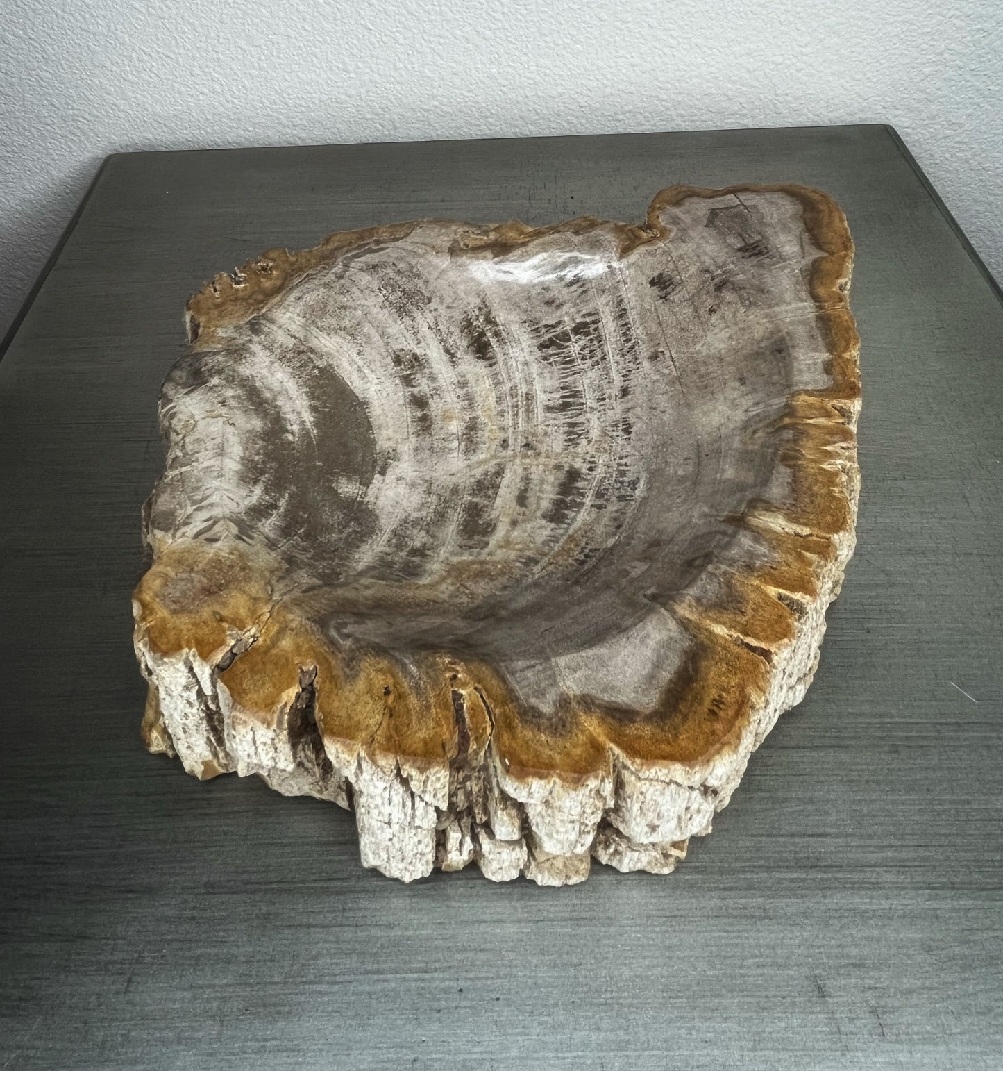 Petrified Wood Bowl with Bark