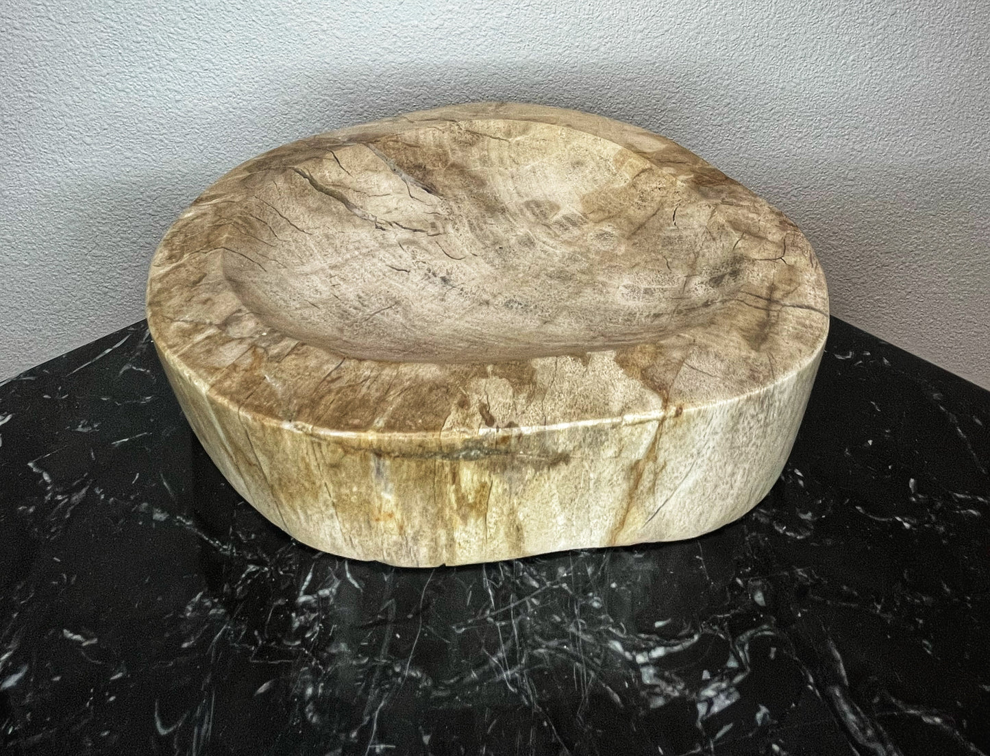 Petrified Wood Bowl