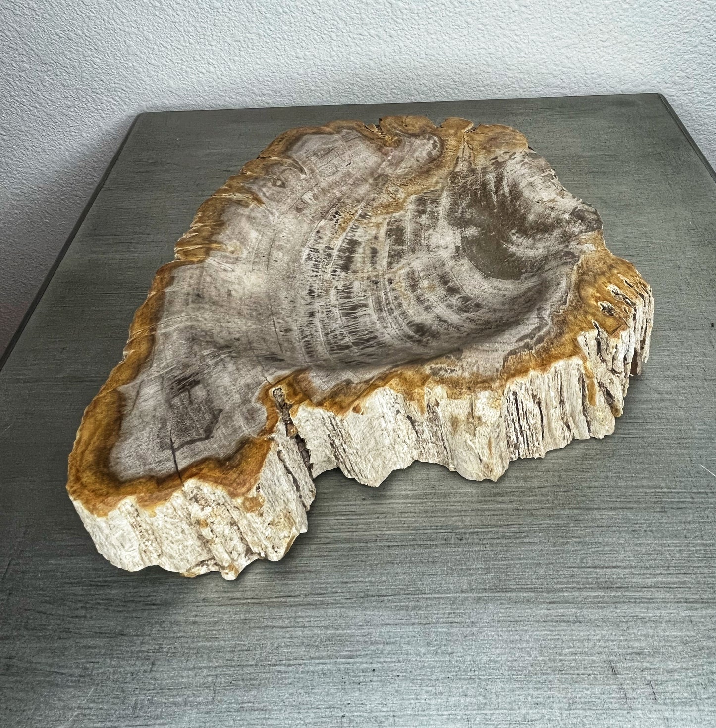 Petrified Wood Bowl with Bark
