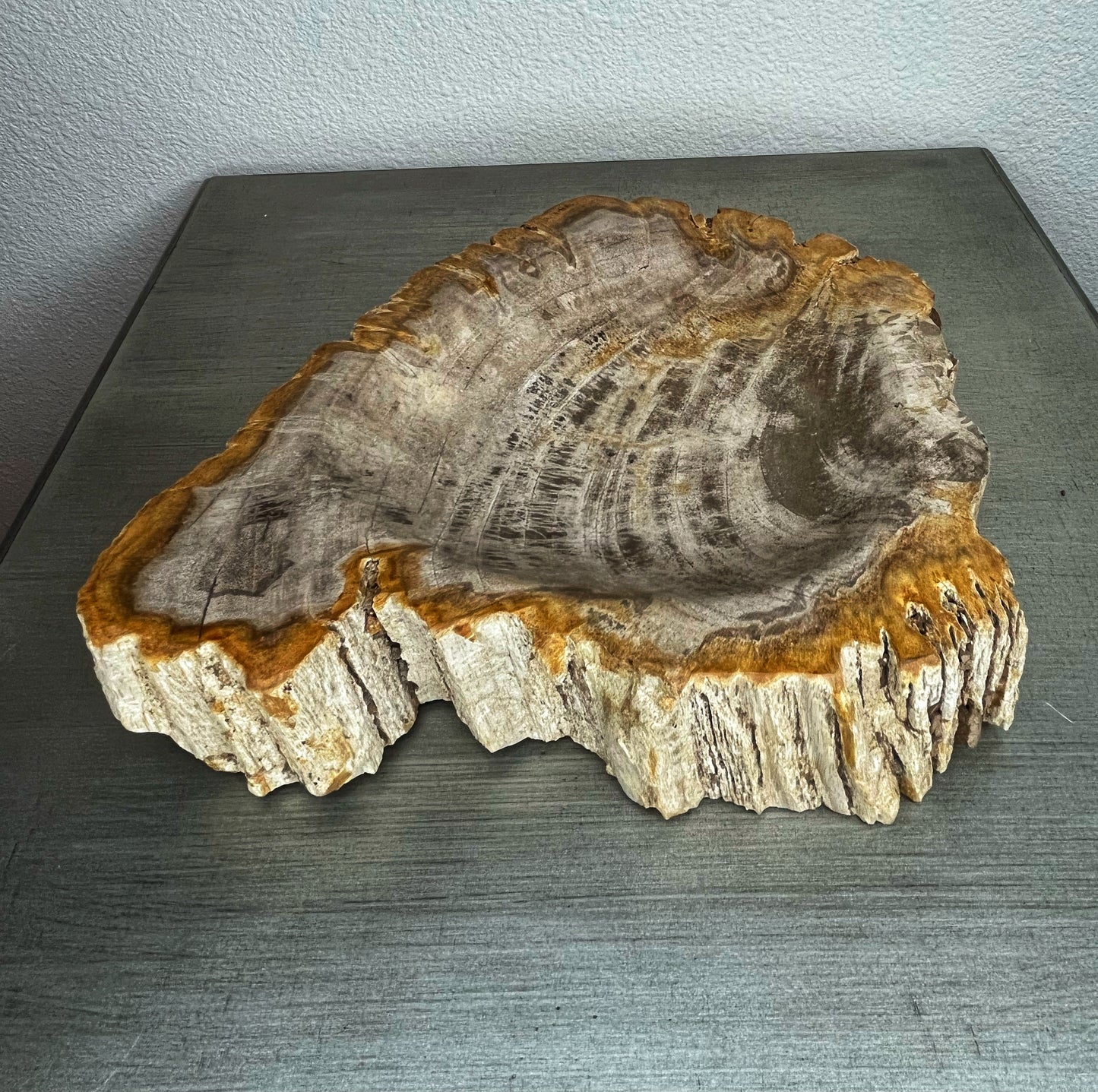 Petrified Wood Bowl with Bark