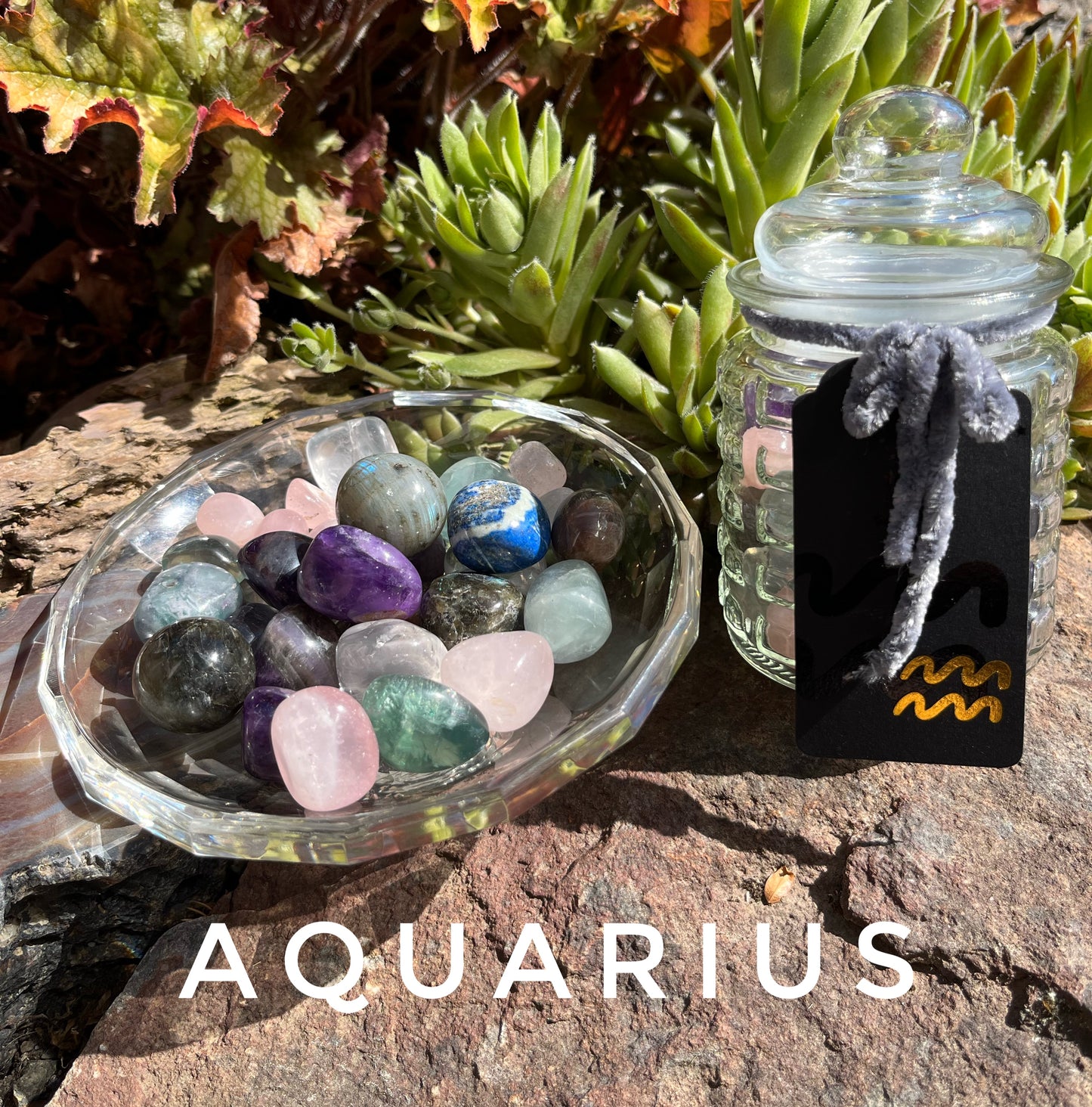 Aquarius