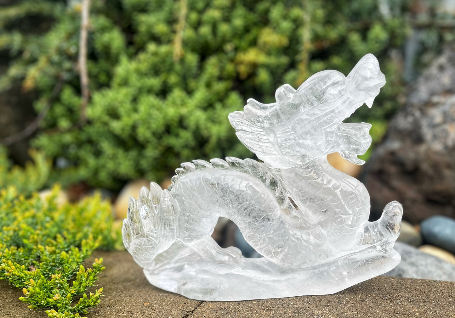 Clear Quartz Dragon