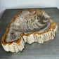 Petrified Wood Bowl with Bark