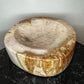 Petrified Wood Bowl