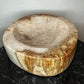 Petrified Wood Bowl