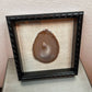 Shadow Box, Brazilian Agate Med.