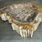 Petrified Wood Bowl with Bark
