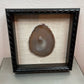 Shadow Box, Brazilian Agate Med.