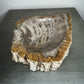 Petrified Wood Bowl with Bark
