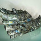 Labradorite Dragon Skull, XXL