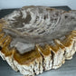 Petrified Wood Bowl with Bark