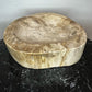 Petrified Wood Bowl