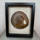 Shadow Box, Brazilian Agate LG