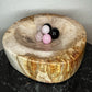 Petrified Wood Bowl