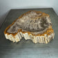 Petrified Wood Bowl with Bark