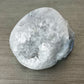 Moss Agate Druzy Skull